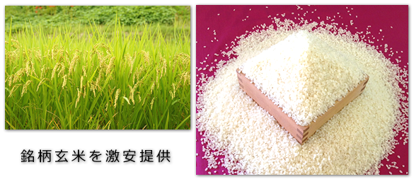 銘柄玄米を激安提供